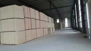 微信图片_20190515094506